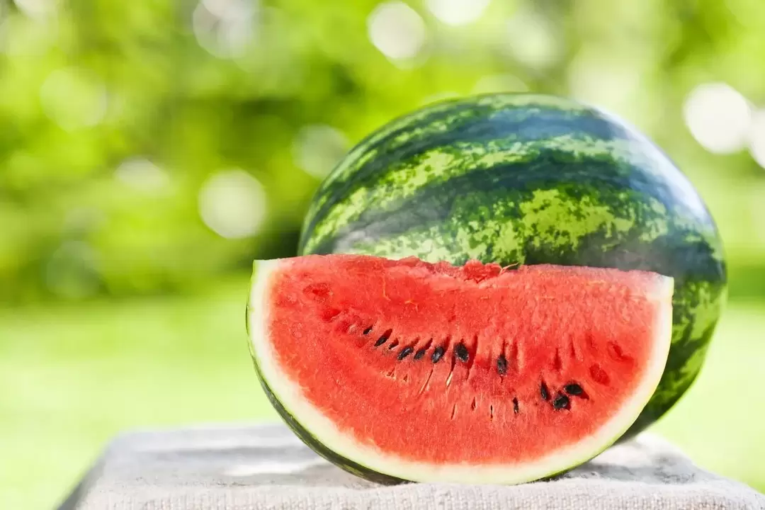 vattenmelon för viktminskning