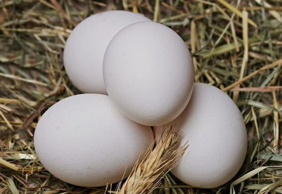 Äggdieten går ut på att äta kycklingägg dagligen. 