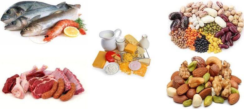 proteinprodukter på en proteindiet