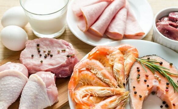 Grundläggande proteindiet